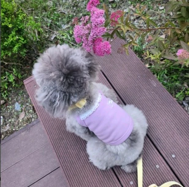 (새상품)강아지옷 쿨나시 일괄판매 애견의류 이미지