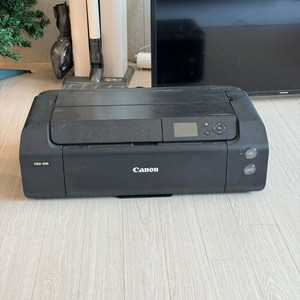 캐논 PRO-300 포토프린터 이미지