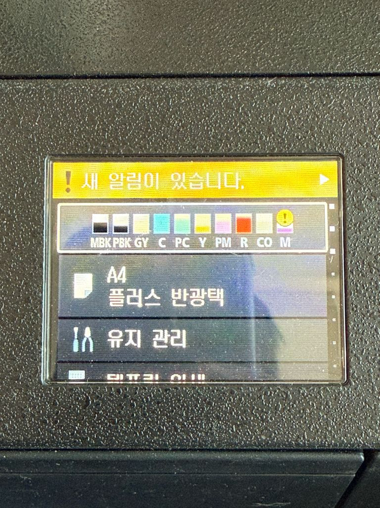 캐논 PRO-300 포토프린터 이미지
