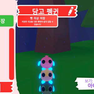 입양하세요 펫 네온 당고 펭귄 (네당펭) 판매합니다 이미지