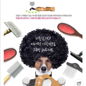 강아지 고양이 조개모양 빗3가지+레이저 장난감 이미지
