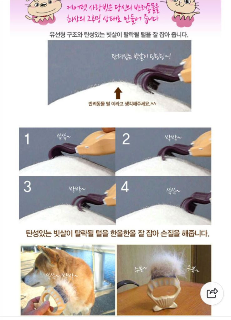 강아지 고양이 조개모양 빗3가지+레이저 장난감 이미지