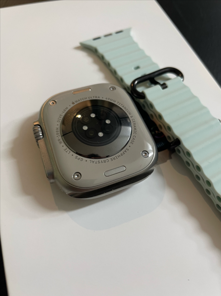 애플워치 울트라2 내추럴 49mm 이미지