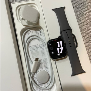 애플워치10티타늄 46mm 내추럴 애플케어+ 이미지
