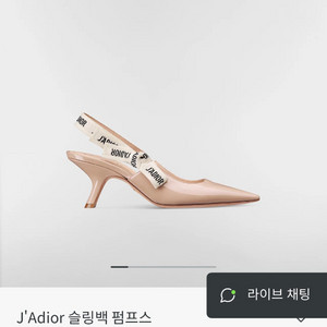 디올슬링백 이미지