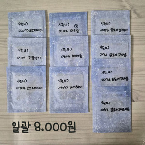 포켓몬띠부씰 시즌4 이미지