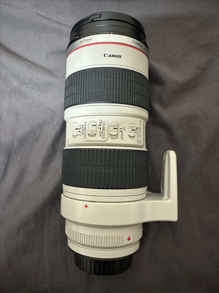 캐논 EOS 5D Mark II 카메라 + ef70 200 1세대+신계륵 이미지