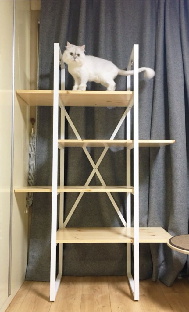 [CAT IS ART] 프리미엄 캣타워 이미지