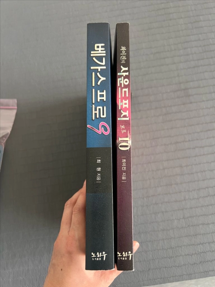 베가스 프로 9, 사운드포지 프로 10 이미지