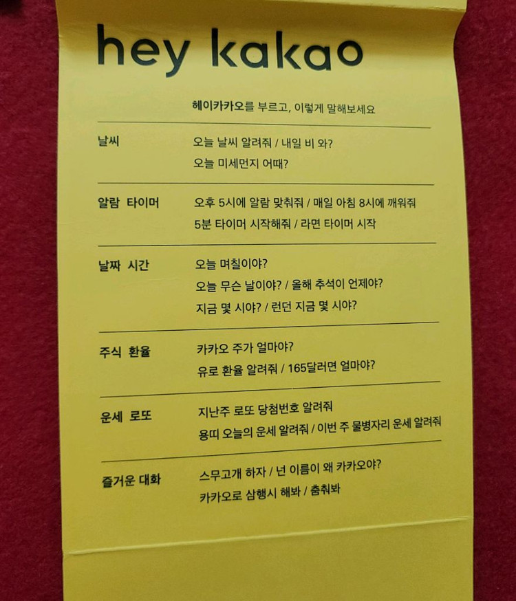 그 유명한 만능 엔터테이너 헤이카카오 AI 인공지능 스피커(신품 이미지