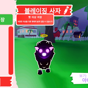 입양하세요 펫 네온 블레이징 사자(네블사)판매합니다 이미지