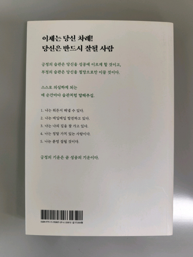 책 도서 당신은 반드시 잘될 사람 이미지