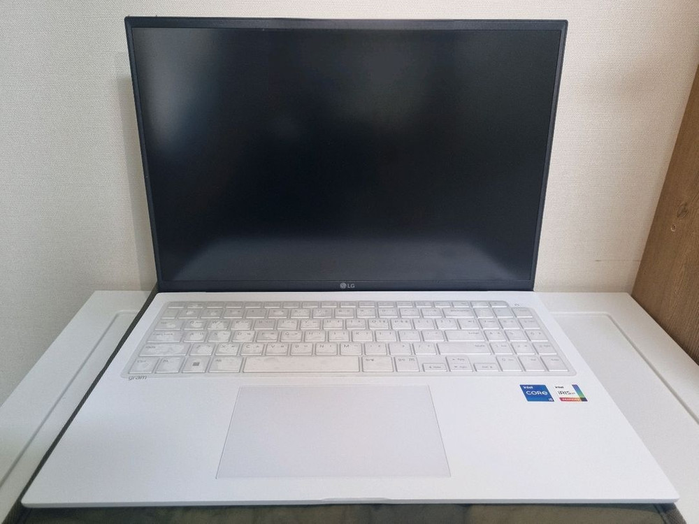 [대전] LG 그램 16ZD90Q-GX56K 이미지