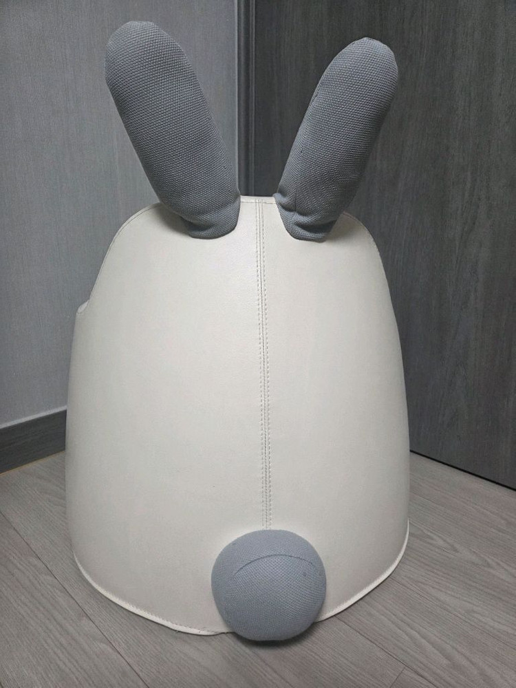 일룸 아코 버니 소파 이미지