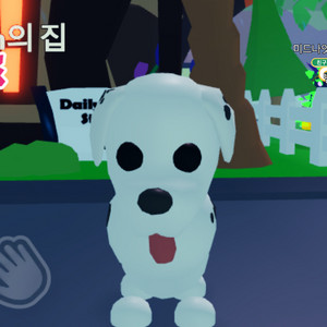 입양하세요 산강 이미지