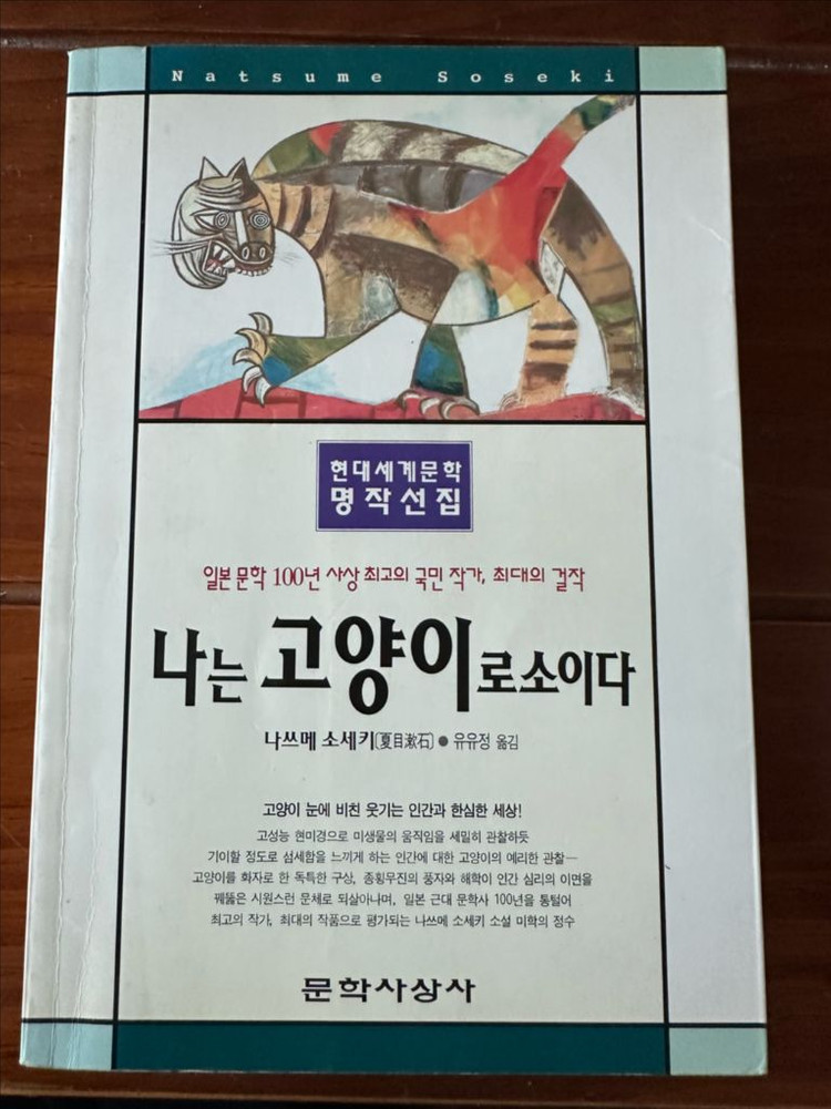 나쓰메 소세키 나는 고양이로소이다 이미지