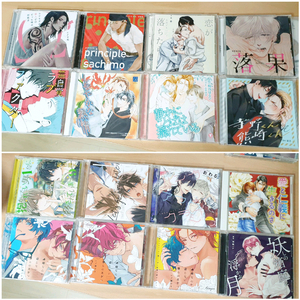 일본 BL 비엘 만화책 드라마 cd 드씨 오디오 드라마 (후루카와 마코토, 오노 유우키 위주) 이미지