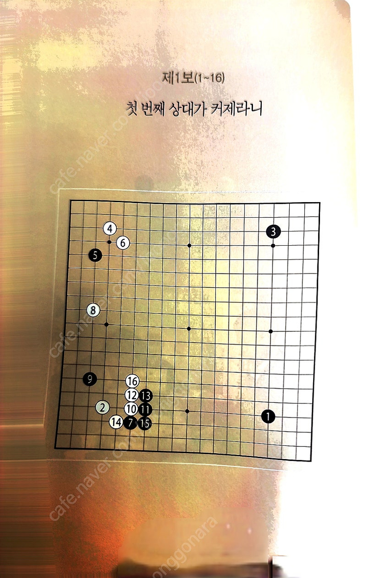 바둑책- 2019 삼성화재배 월드바둑마스터스 기보집 이미지
