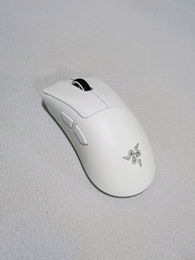 레이저 데스에더 v4 pro 이미지