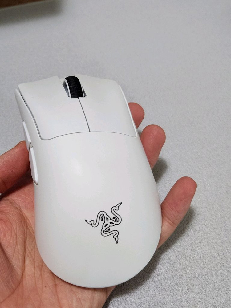 레이저 데스에더 v4 pro 이미지