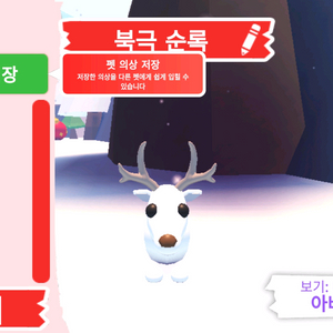 입양하세요 펫 북극 순록(흰순) 판매합니다 이미지