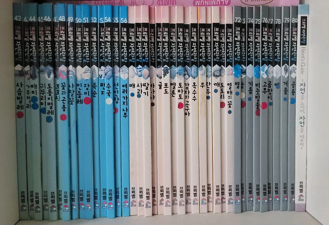 프뢰벨 자연관찰 80권+부모지침서 1권 이미지