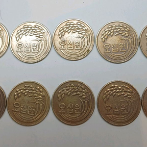 1980년 50원 동전 10개 일괄 이미지