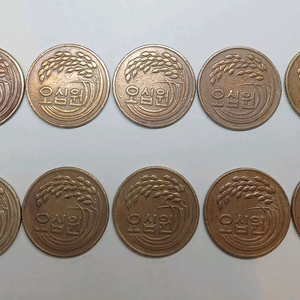 1981년 50원 동전 10개 일괄 이미지