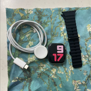 애플워치10티타늄 42mm 내추럴 SS급 이미지