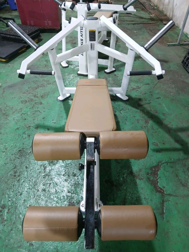 인바디230,디랙스 벤치프레스,올림픽인클라인벤치,해머디클라인벤치,헤라자전거,거꾸리 이미지