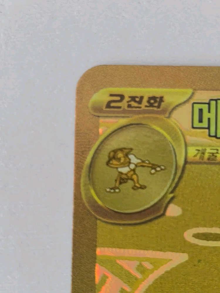 메가개굴닌자ex mur 이미지