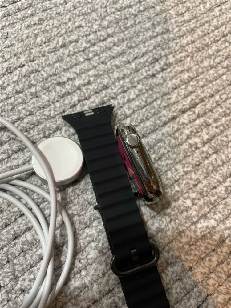 애플워치10티타늄 42mm 내추럴 S급 이미지
