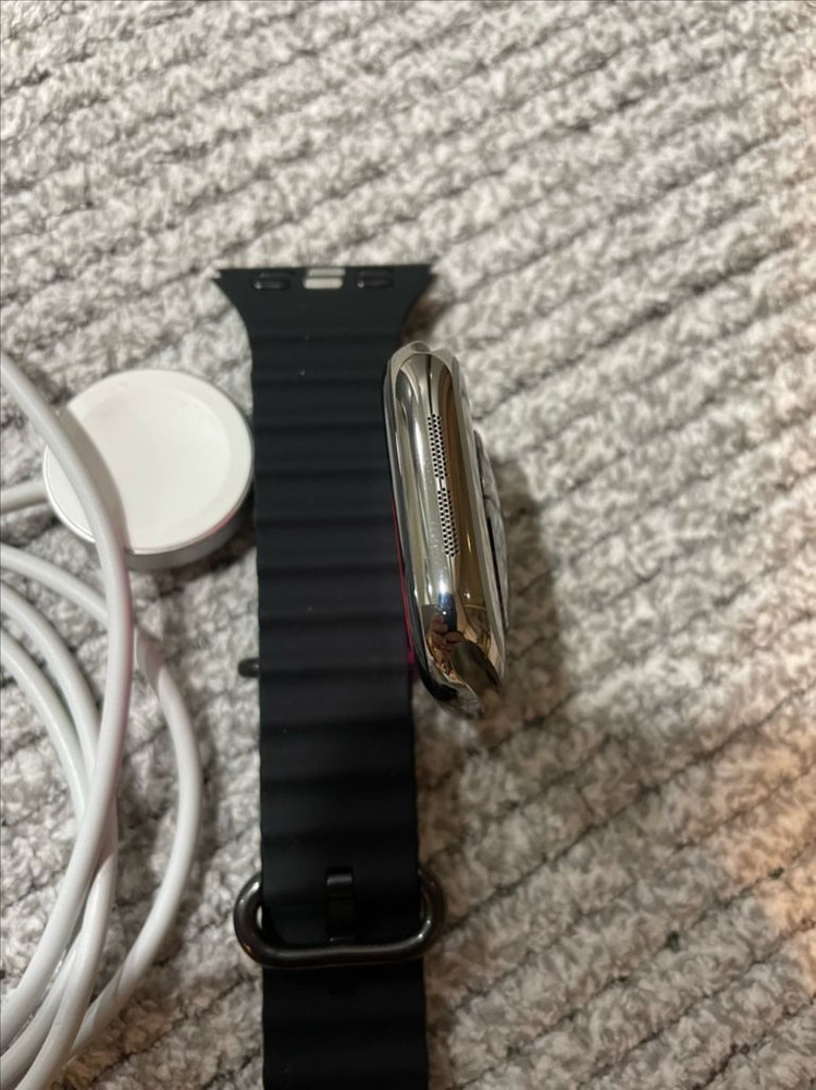 애플워치10티타늄 42mm 내추럴 S급 이미지