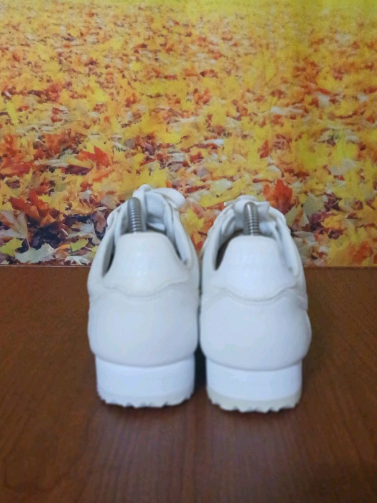 나이키 레트로 레더 코르테즈 240 이미지