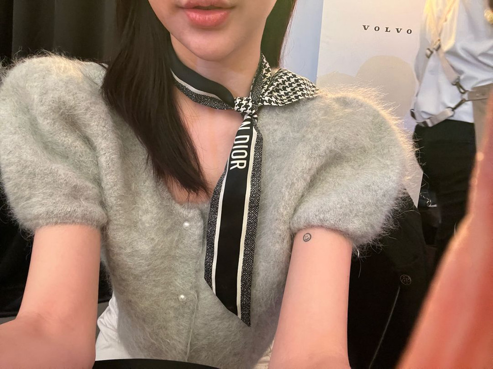 디올 미차 몽테인 택미제거 디올스카프 이미지