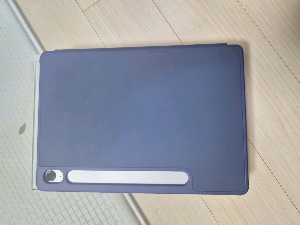 삼성 갤럭시탭 S9 FE 5G 256GB 실버 이미지