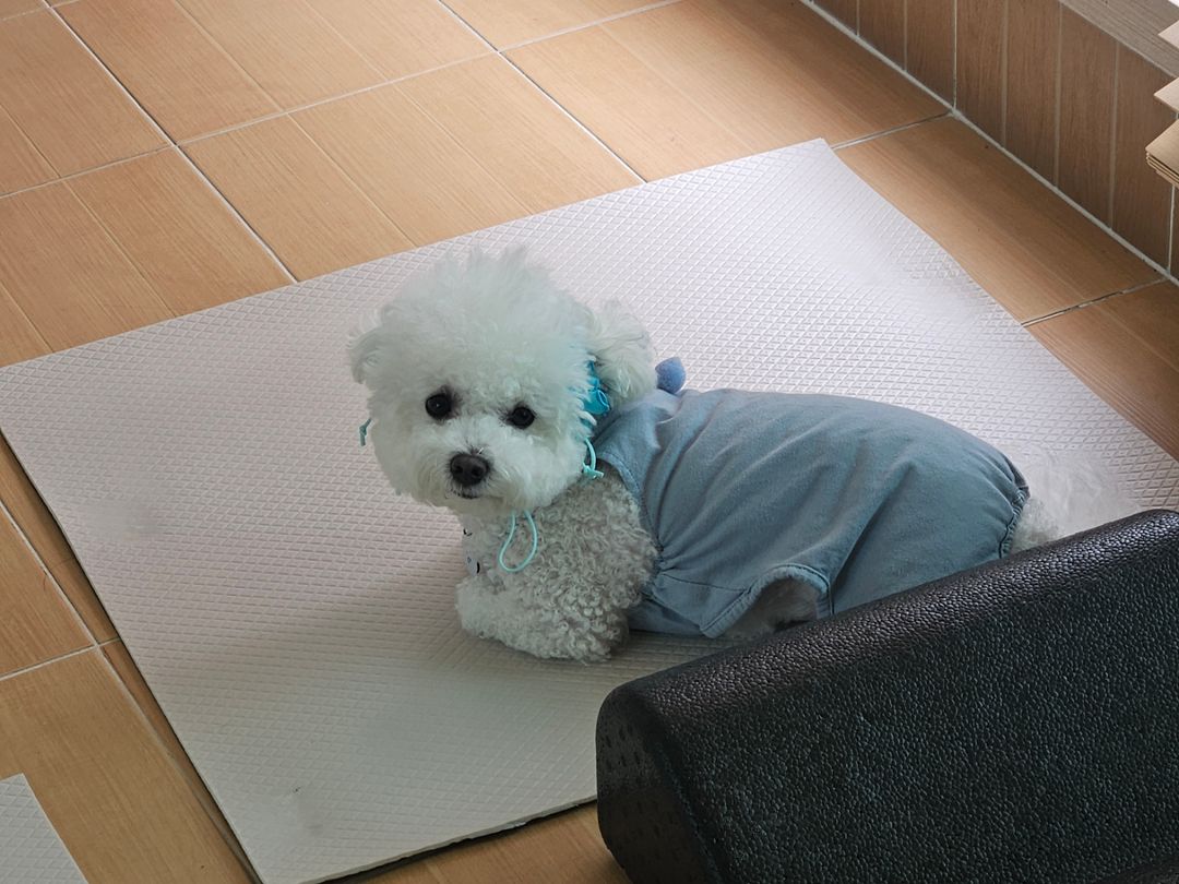 프로필 이미지