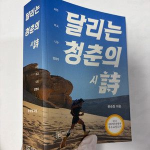 세계일주 여행 에세이) 달리는 청춘의 시 이미지
