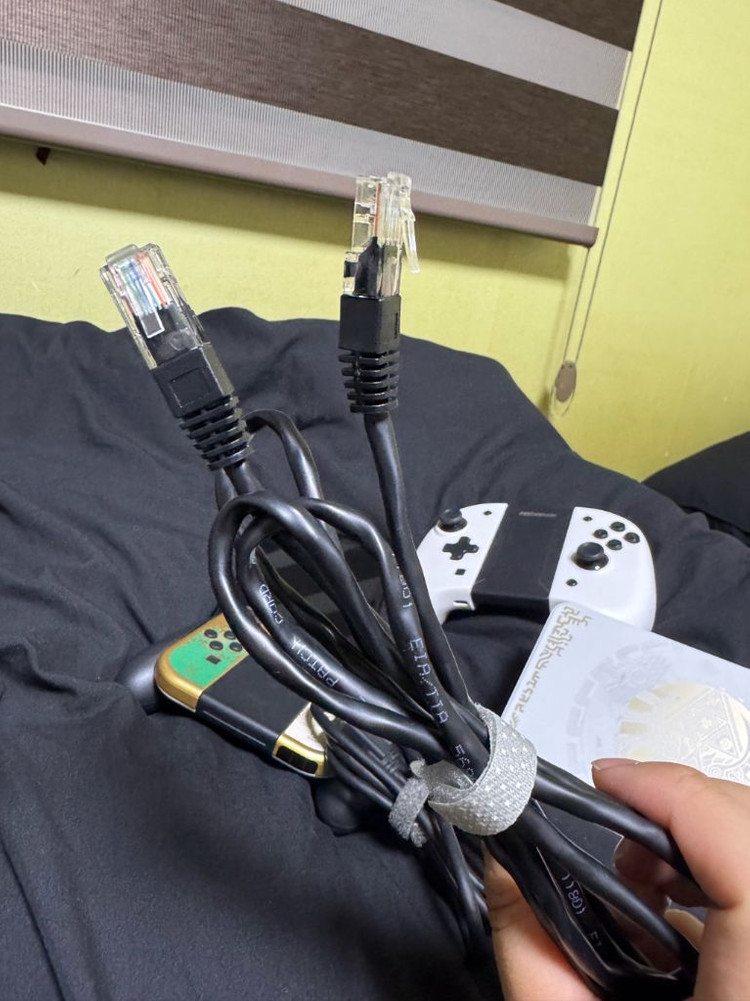 닌텐도 스위치 oled 젤다의전설 이미지