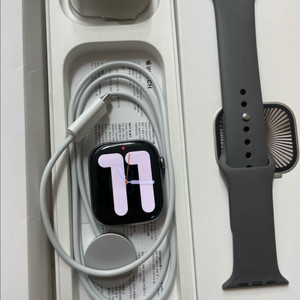 에픽워치10티타늄 46mm 내추럴 애플케어 + 이미지