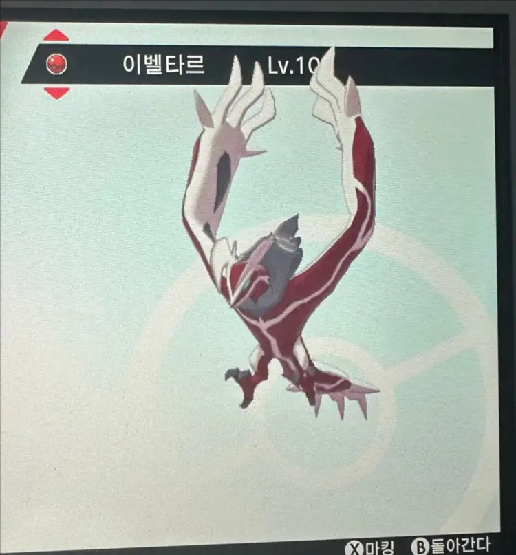 이로치 제르네아스 이벨타르 지가르데 포켓몬스터 소드실드 닌텐도 스위치2 이미지