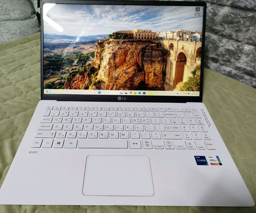 LG 그램 15Z95N-GP5TL 이미지