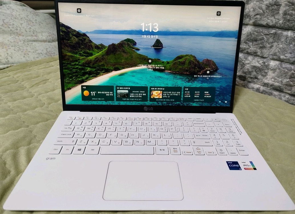 LG 그램 15Z95N-GP5TL 이미지