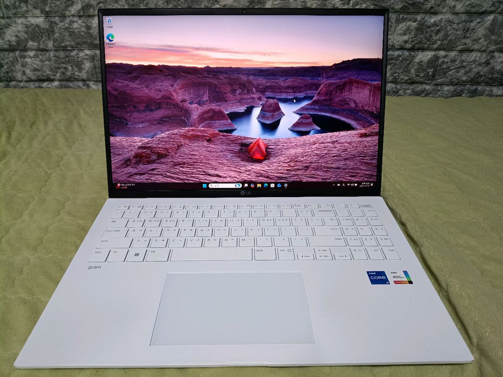 LG 그램 15Z95N-GP5TL 이미지