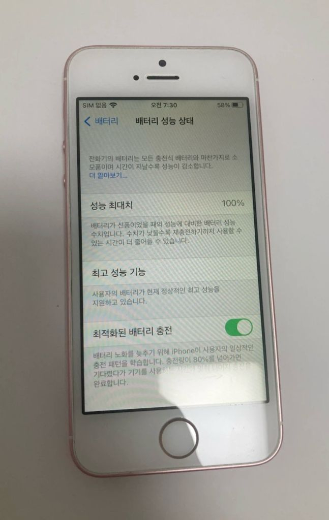 아이폰 Se 1 로즈골드 64GB 이미지