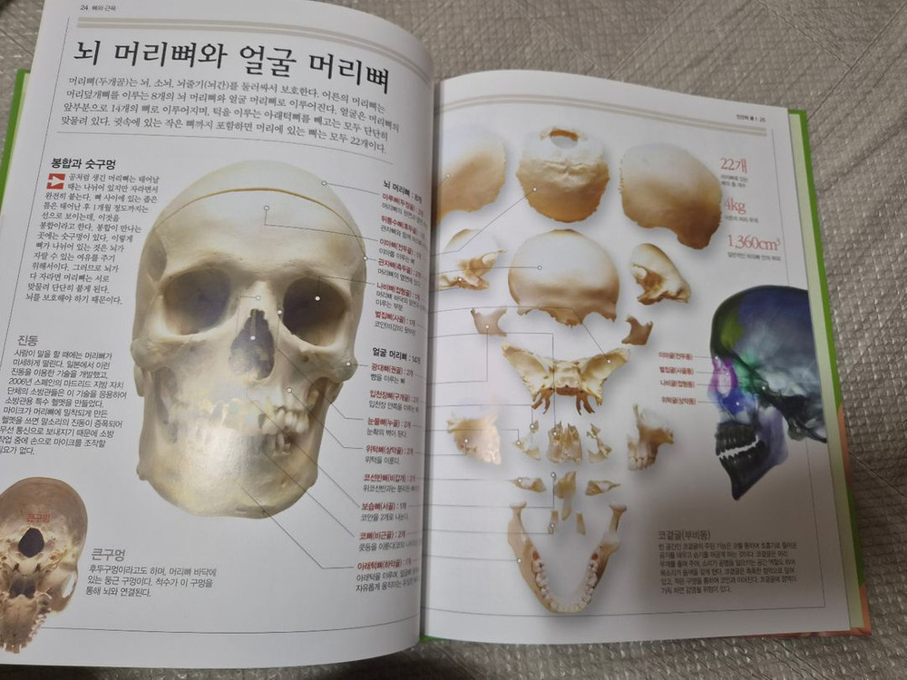 브리태니커 비쥬얼사이언스 이미지