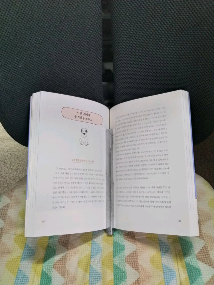 *훈련이잘못됐습니다/반려견훈련책(2020) 이미지