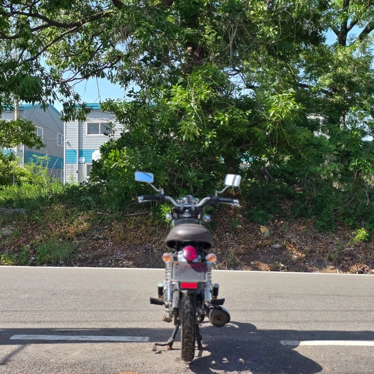 SYM 울프125 이미지