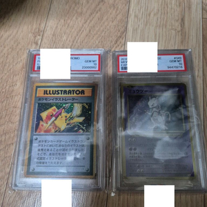 psa10 포켓몬카드 장식품 이미지