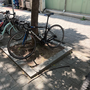 써벨로 R3 14년식 이미지